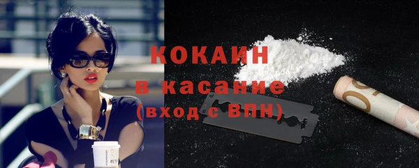 твердый Богородск