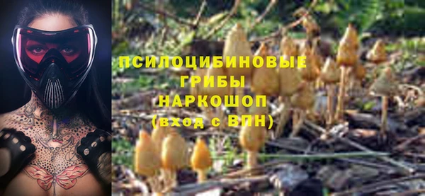 твердый Богородицк