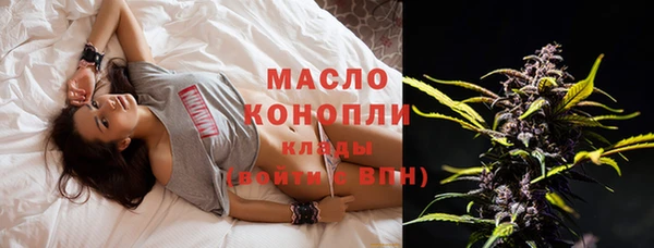 твердый Богородицк