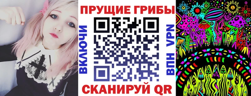 Галлюциногенные грибы Cubensis Саранск